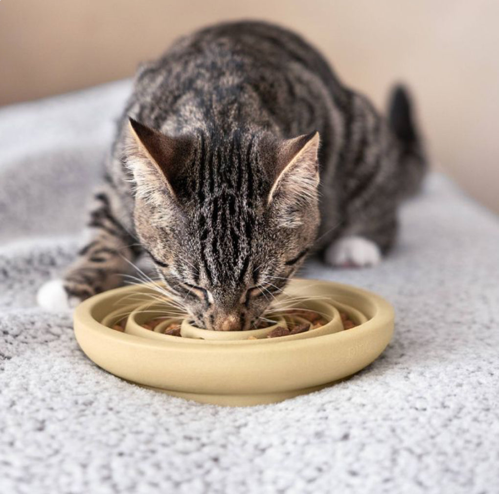 Futter-und Wasserspender